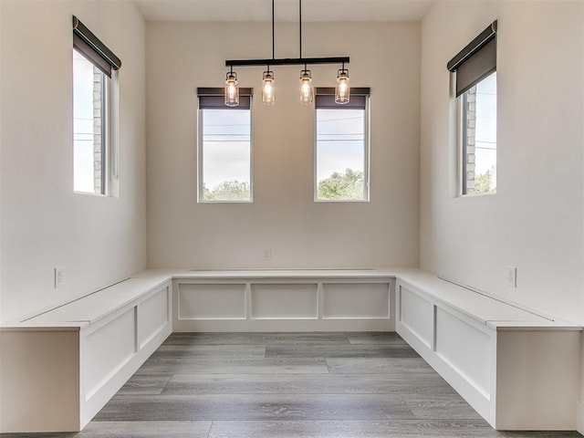 unfurnished dining area with light hardwood / wood-style flooring