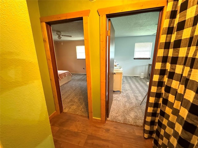 corridor featuring plenty of natural light, carpet floors, and a textured ceiling