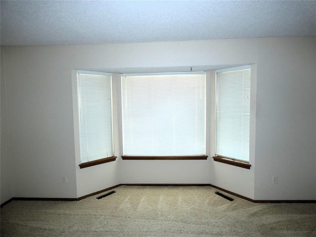 unfurnished room featuring carpet flooring and a textured ceiling