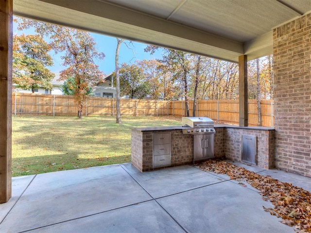 view of patio / terrace with exterior kitchen