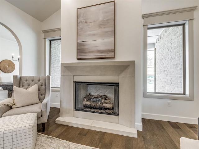 living area featuring lofted ceiling and dark hardwood / wood-style floors