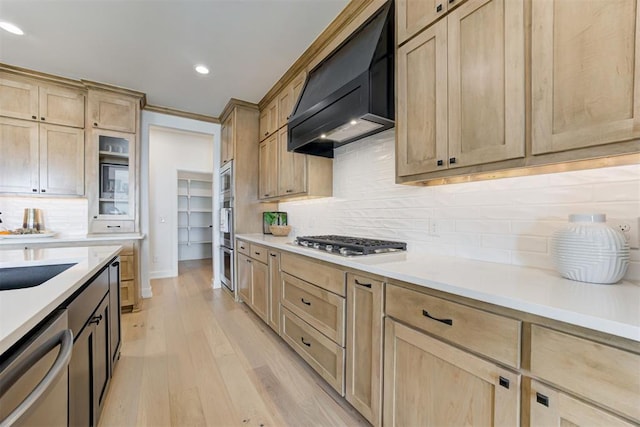 kitchen featuring decorative backsplash, appliances with stainless steel finishes, light wood-type flooring, premium range hood, and sink