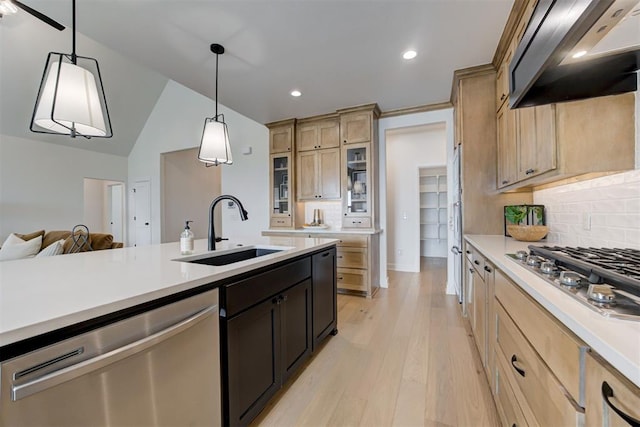 kitchen with sink, stainless steel appliances, ventilation hood, light hardwood / wood-style floors, and pendant lighting