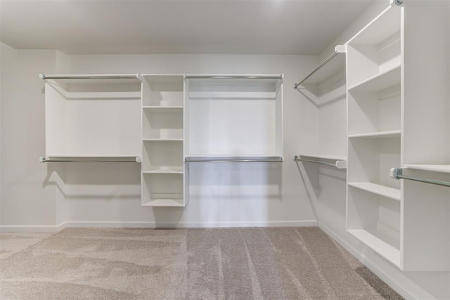 spacious closet with carpet flooring