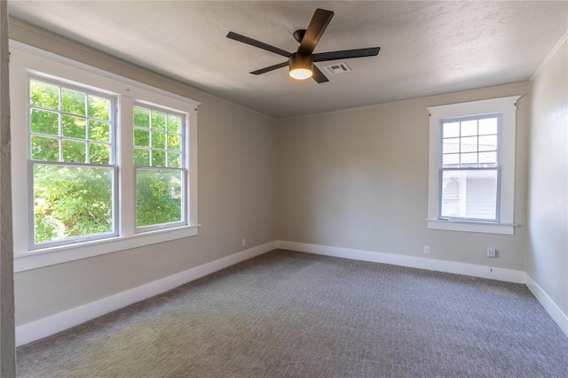 spare room featuring ceiling fan, carpet floors, a textured ceiling, and a wealth of natural light