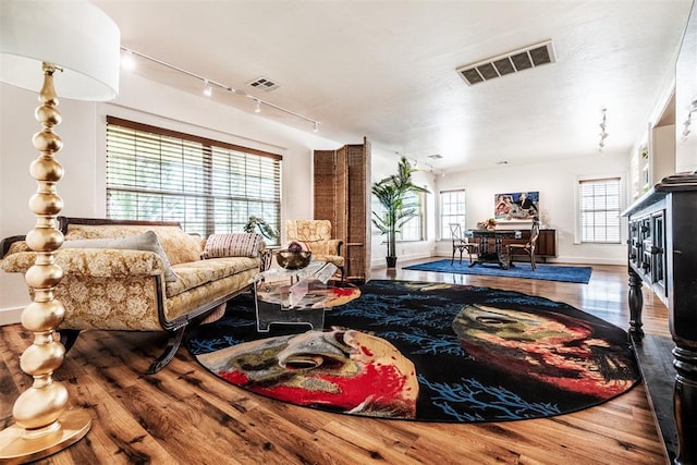 living room featuring wood-type flooring and track lighting