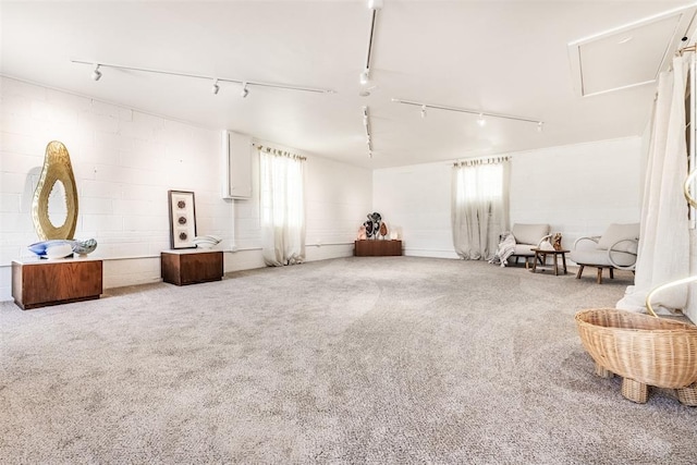 miscellaneous room with carpet and track lighting