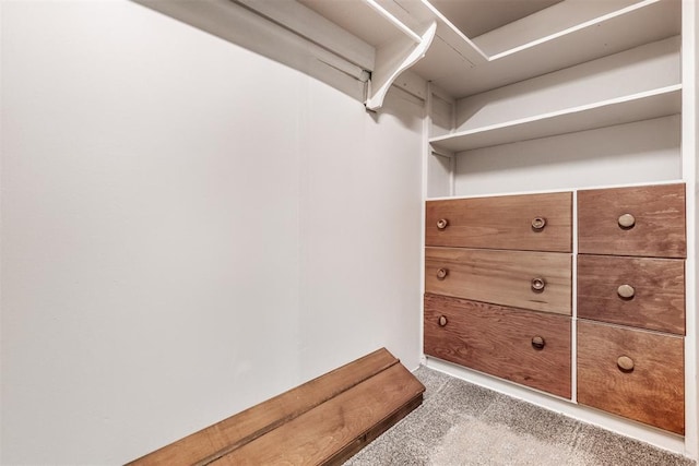 spacious closet featuring carpet