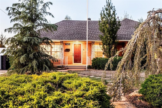 view of front of home with a shingled roof and brick siding