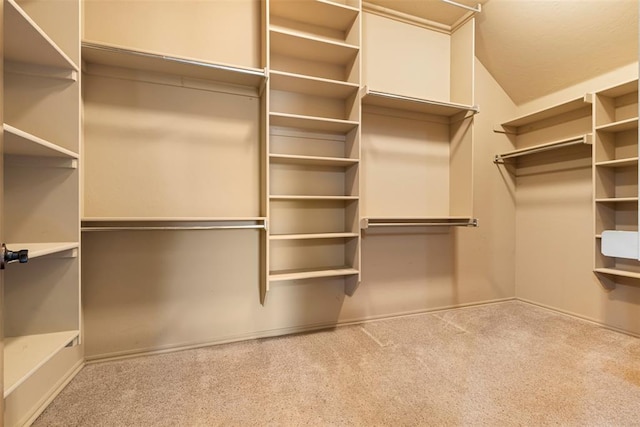 spacious closet featuring light carpet