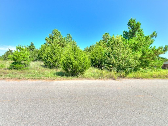 19009 Rockspring Dr, Newalla, OK 74857 - photo 4