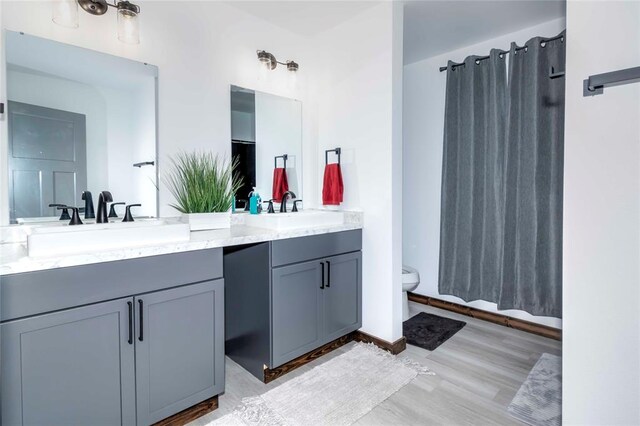 bathroom featuring vanity, toilet, and wood-type flooring