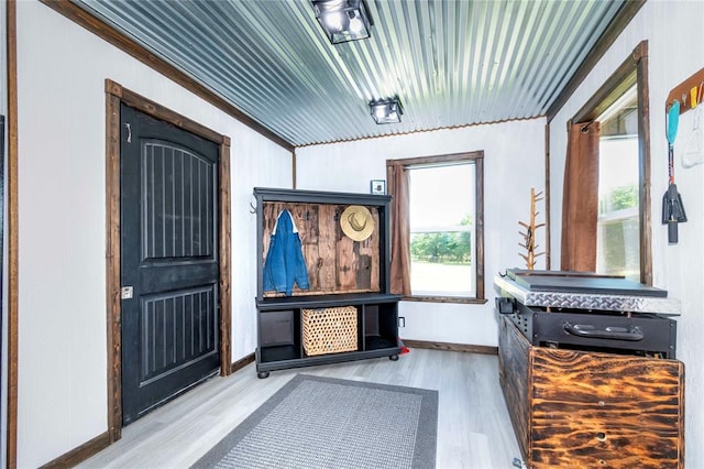 mudroom featuring wood-type flooring and ornamental molding