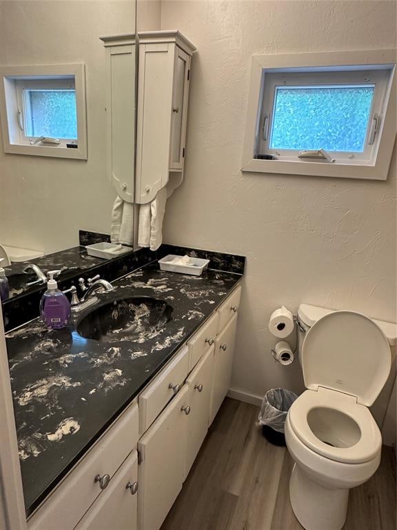 bathroom featuring wood-type flooring, vanity, and toilet