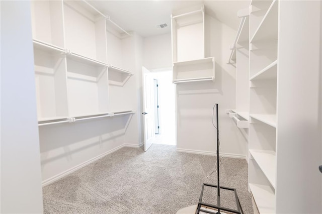 spacious closet with carpet floors