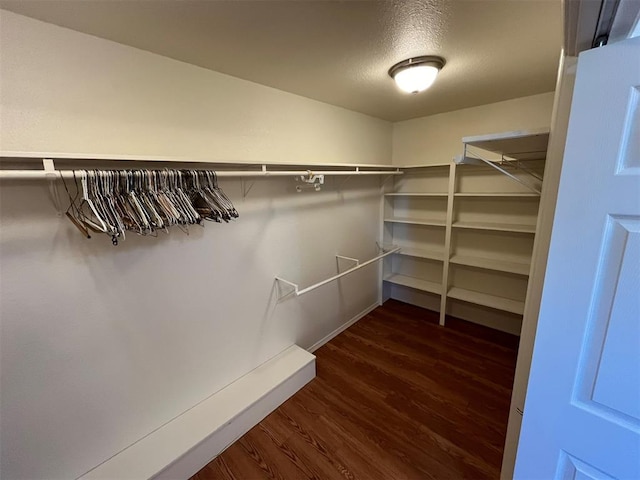 spacious closet featuring dark wood-type flooring