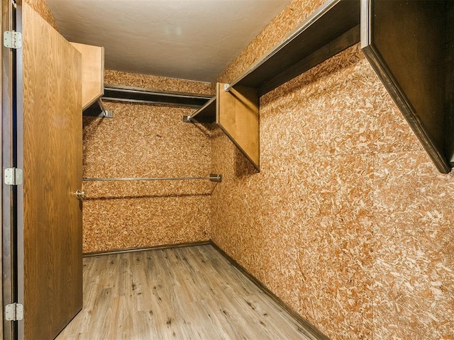 walk in closet with light wood-type flooring