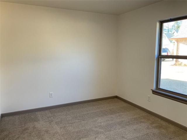 spare room featuring carpet