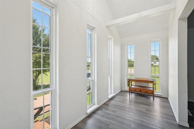 doorway featuring dark wood-type flooring, plenty of natural light, and lofted ceiling with beams