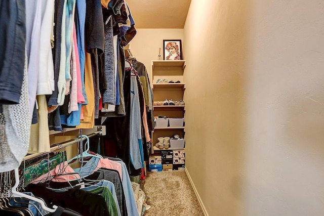 spacious closet featuring carpet flooring