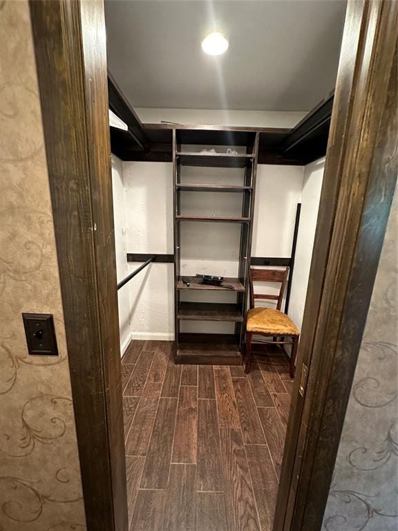 walk in closet featuring dark hardwood / wood-style floors