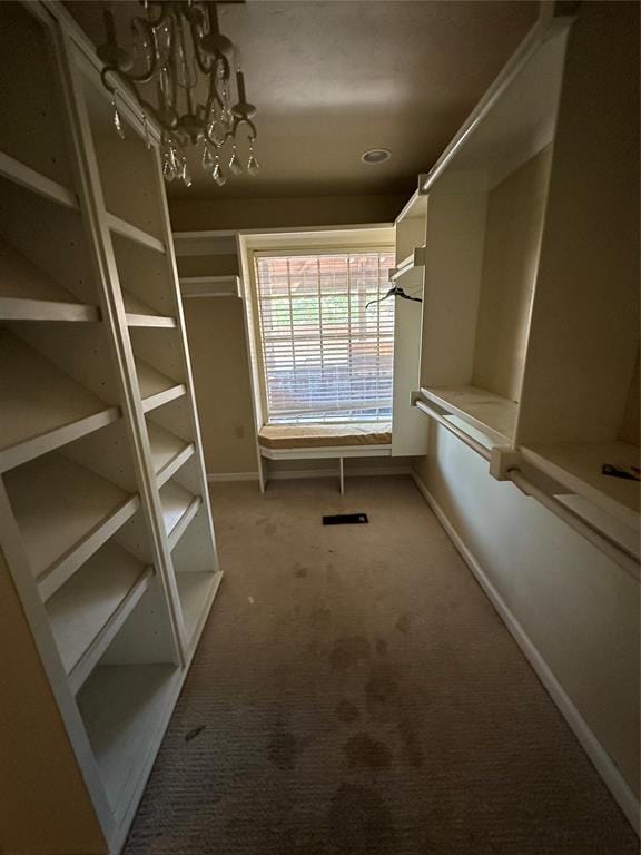 walk in closet featuring carpet and an inviting chandelier