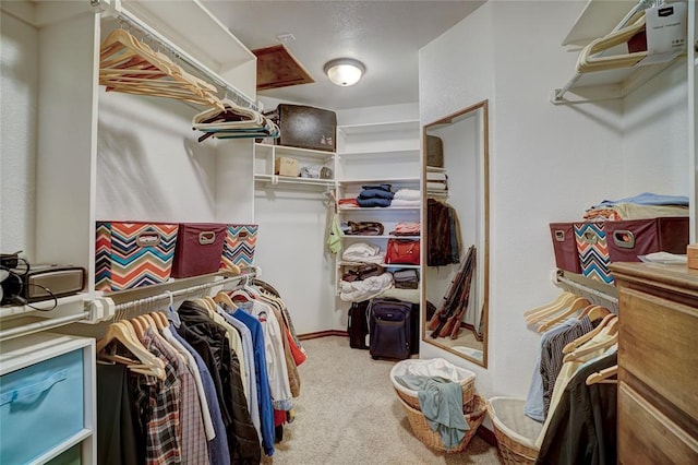 spacious closet featuring carpet flooring