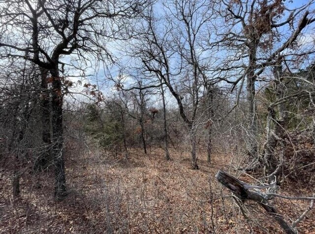 0 Toad Rd, Harrah, OK 73045 - photo 4