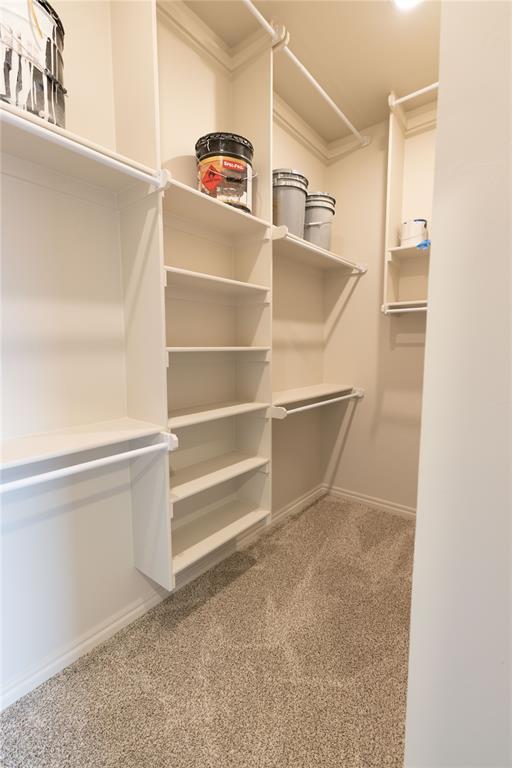 spacious closet featuring carpet