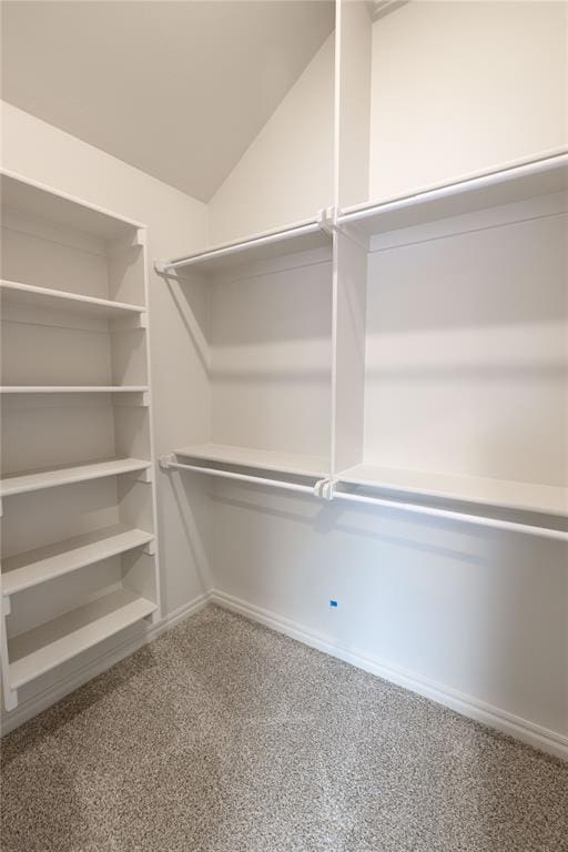 walk in closet featuring lofted ceiling and carpet floors