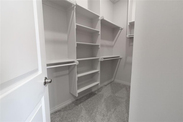 8709 Tyrion Dr, Edmond, OK 73007 - walk in closet featuring carpet flooring