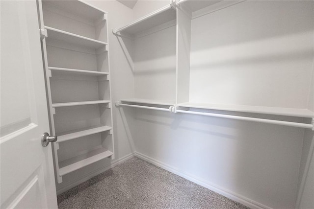 8709 Tyrion Dr, Edmond, OK 73007 - walk in closet with carpet flooring