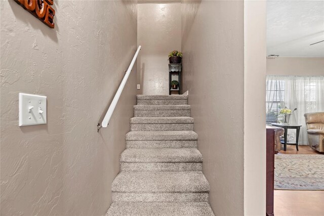 staircase with hardwood / wood-style floors