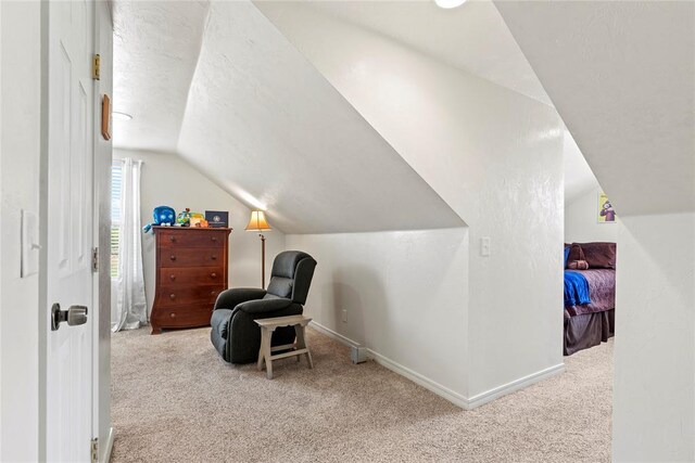 interior space featuring a textured ceiling and lofted ceiling