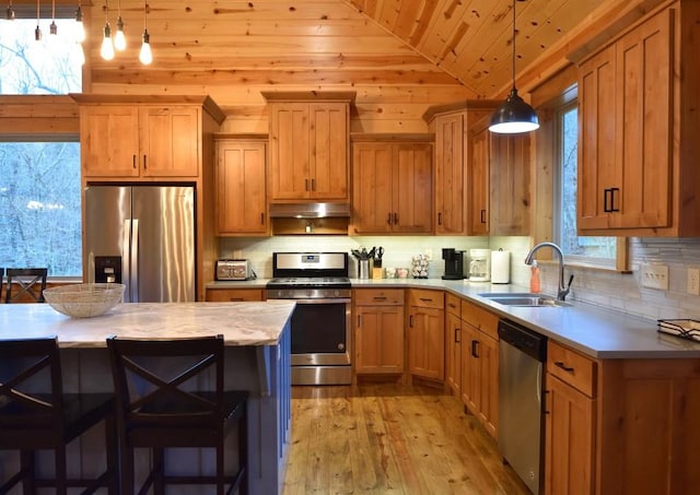 kitchen with sink, hanging light fixtures, stainless steel appliances, light hardwood / wood-style flooring, and vaulted ceiling