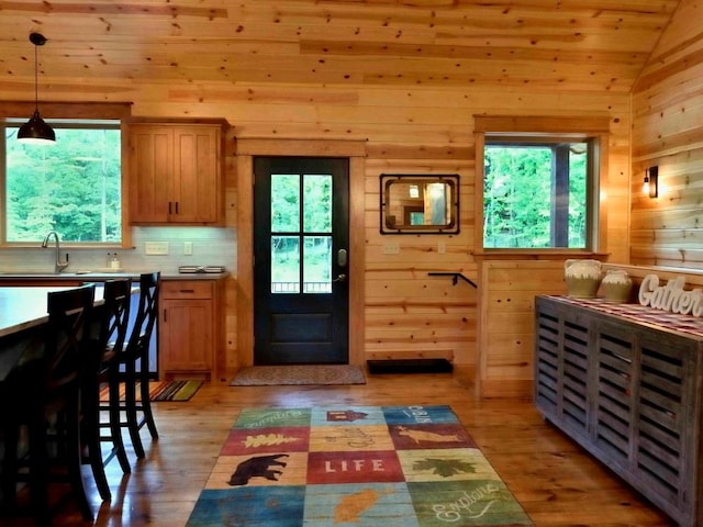 kitchen featuring wood walls and a healthy amount of sunlight