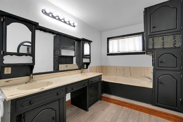 bathroom featuring vanity, wood-type flooring, and a tub