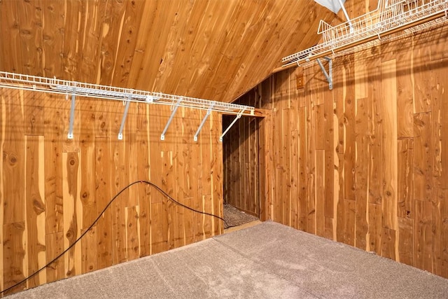 walk in closet featuring carpet and vaulted ceiling