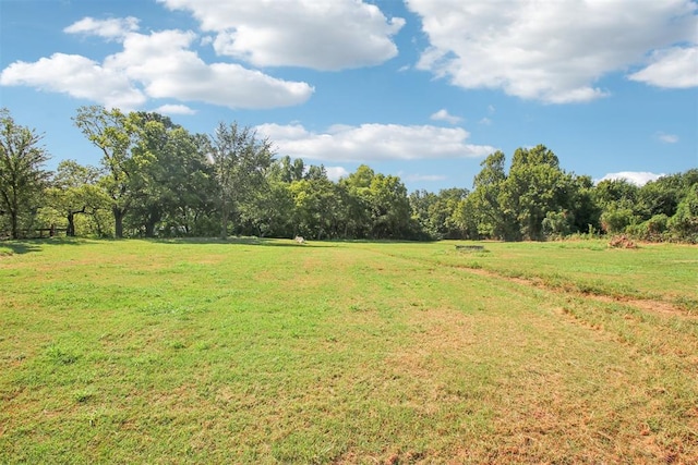 view of yard with a rural view