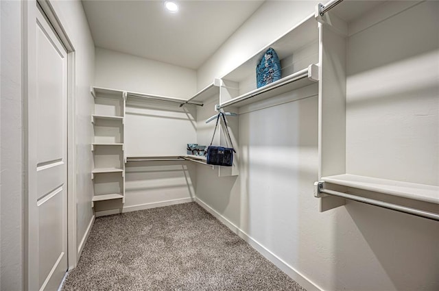 spacious closet with carpet flooring