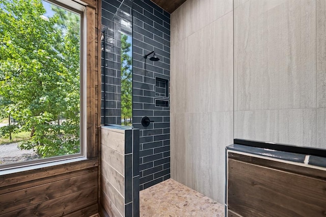 bathroom with a wealth of natural light and a shower