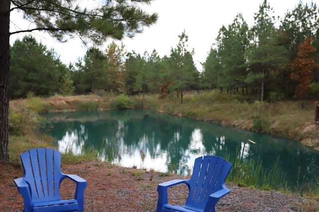 view of water feature