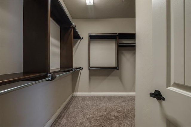 spacious closet featuring light colored carpet