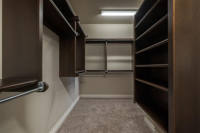 spacious closet featuring light colored carpet