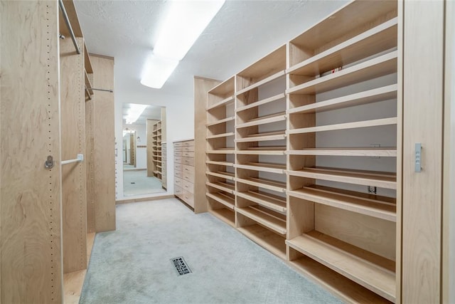 spacious closet featuring light carpet