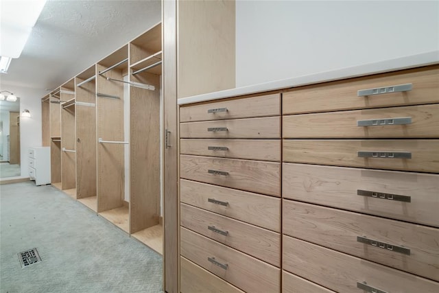 spacious closet with light colored carpet