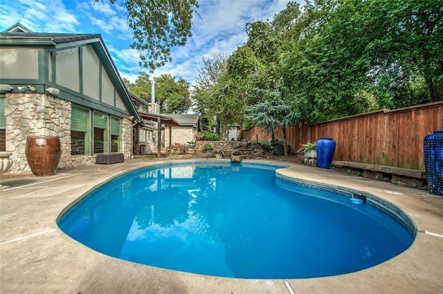 view of swimming pool with a patio