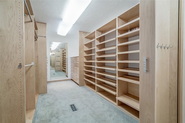 walk in closet with light colored carpet