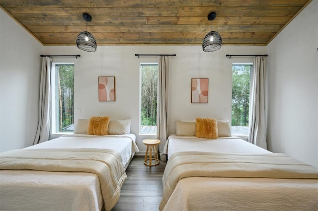 bedroom featuring multiple windows and dark wood-type flooring