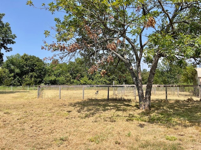 view of yard with a rural view